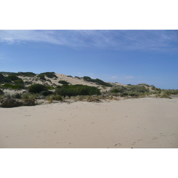 照片 南非(South Africa) 赫曼努斯至克尼斯纳公路(Harmanus to Knysna road) 2008-09 109