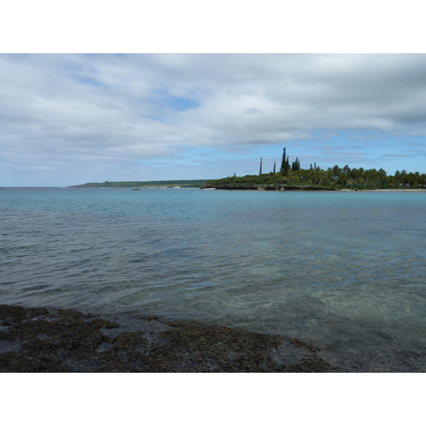 照片 新喀里多尼亚(New Caledonia) 利富岛(Lifou) 海龟湾(Baie des tortues) 2010-05 16