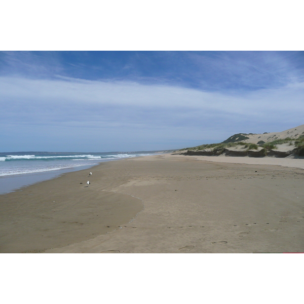 照片 南非(South Africa) 赫曼努斯至克尼斯纳公路(Harmanus to Knysna road) 2008-09 90