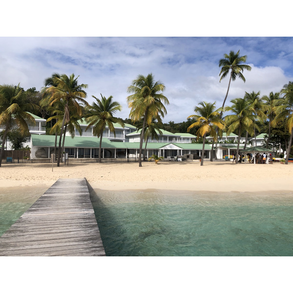 照片 瓜德罗普(Guadeloupe) 卡拉维尔海滩(La Caravelle Beach) 2021-02 107