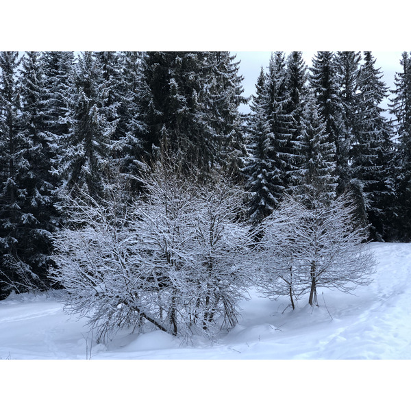 照片 法国(France) 拉克吕萨(La Clusaz) 2017-12 95