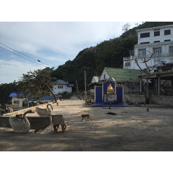 照片 泰国(Thailand) 华欣(Hua hin) 2016-01 15