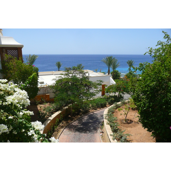 照片 埃及(Egypt) 沙姆沙伊赫(Sharm el Sheikh) 凯悦酒店(Hyatt Hotel) 2008-06 186