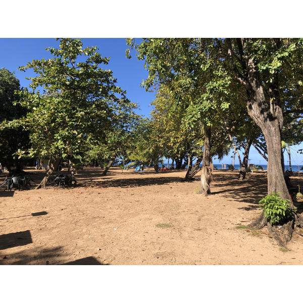 照片 瓜德罗普(Guadeloupe) 大湾海滩(Grande Hanse Beach) 2021-02 13