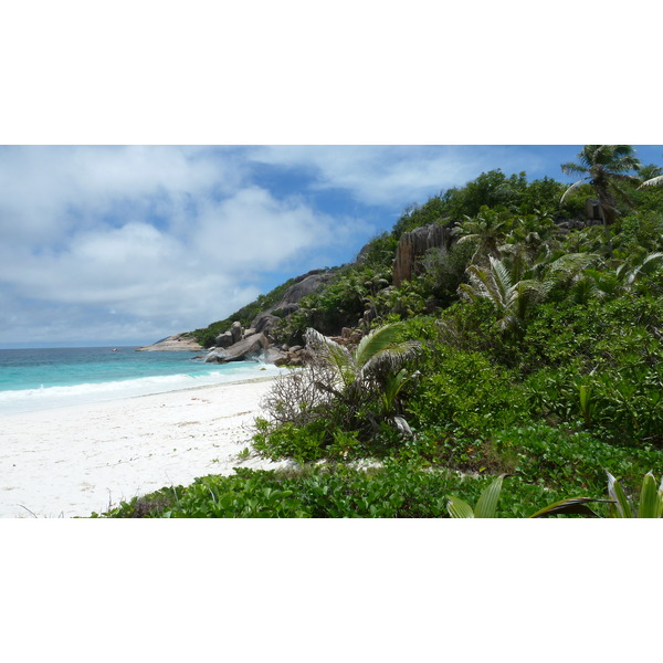 照片 塞舌尔(Seychelles) 2011-10 156