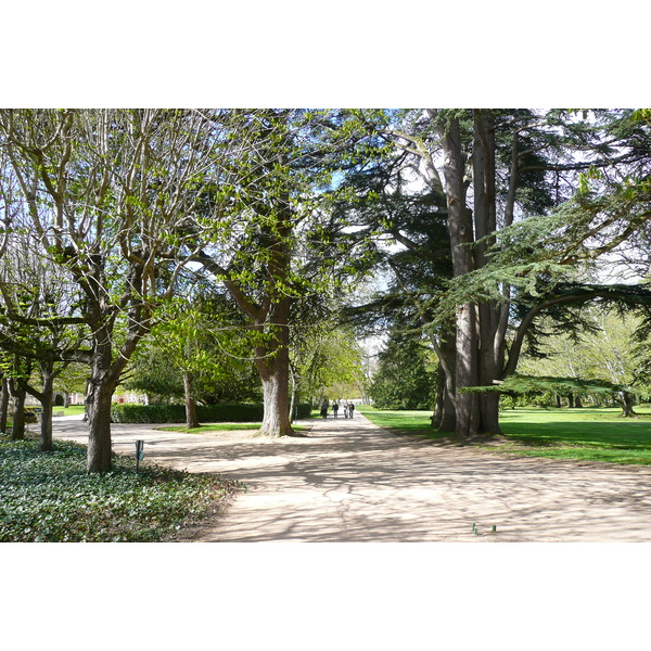 照片 法国(France) 舍农索城堡(Chenonceau Castle) 舍农索城堡花园(Gardens of Chenonceau) 2008-04 3