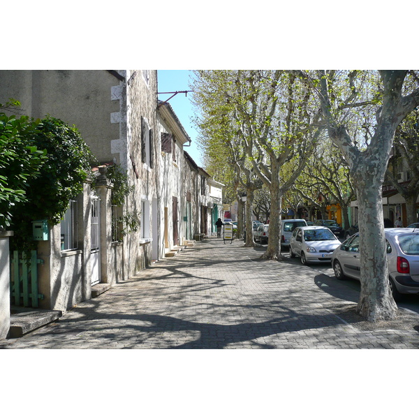 照片 法国(France) 穆里耶(Mouries) 2008-04 15
