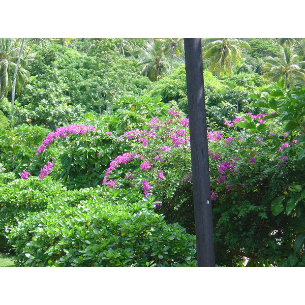 照片 波利尼西亚(Polynesia) 波拉波拉艾美酒店(Meridien Bora Bora Hotel) 2006-04 178