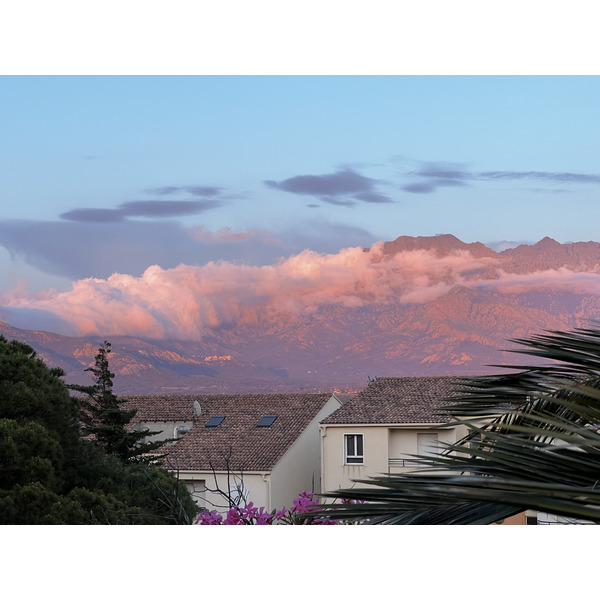 照片 法国(France) 科西嘉岛(Corsica) 卡尔维(Calvi) 2023-06 0