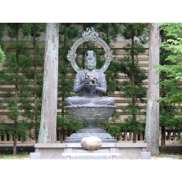 照片 日本(Japan) 京都(Kyoto) 仁和寺(Ninna ji Temple) 2010-06 58