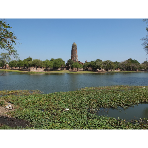 照片 泰国(Thailand) 大城(Ayutthaya) 2011-12 52