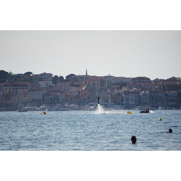 照片 法国(France) 科西嘉岛(Corsica) 卡尔维(Calvi) 2017-07 9