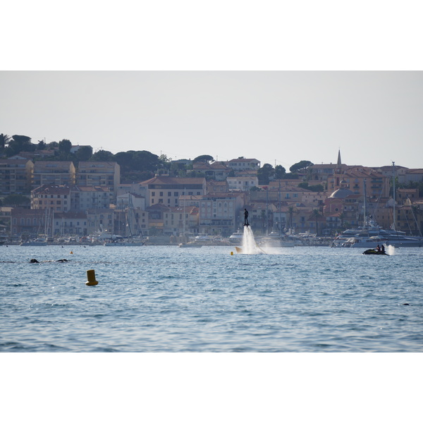 照片 法国(France) 科西嘉岛(Corsica) 卡尔维(Calvi) 2017-07 3
