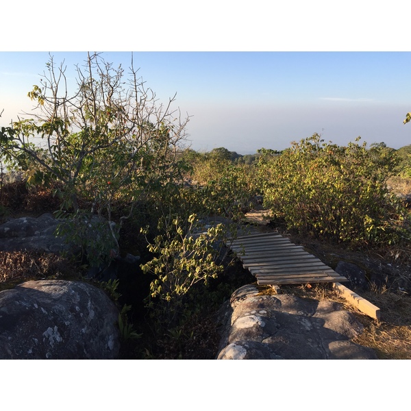 照片 泰国(Thailand) 普欣隆卡国家公园(Phu Hin Rong Kla National Park) 2014-12 83