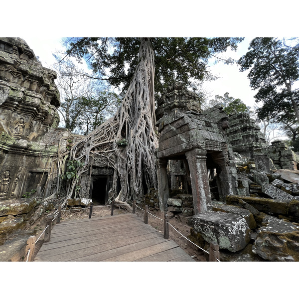 照片 柬埔寨(Cambodia) 暹粒(Siem Reap) 塔布茏寺(Ta Prohm) 2023-01 155