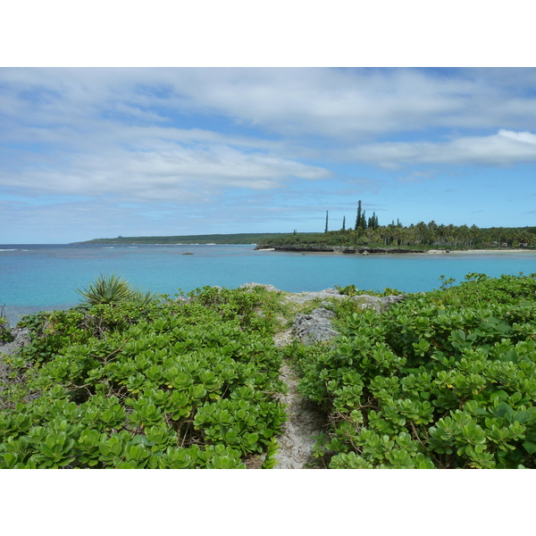 照片 新喀里多尼亚(New Caledonia) 利富岛(Lifou) 海龟湾(Baie des tortues) 2010-05 11