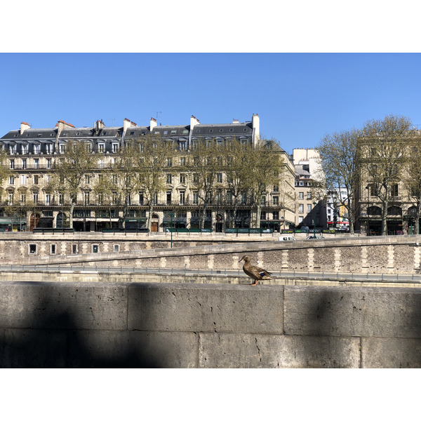 照片 法国(France) 封城中的巴黎(Paris lockdown) 2020-04 300
