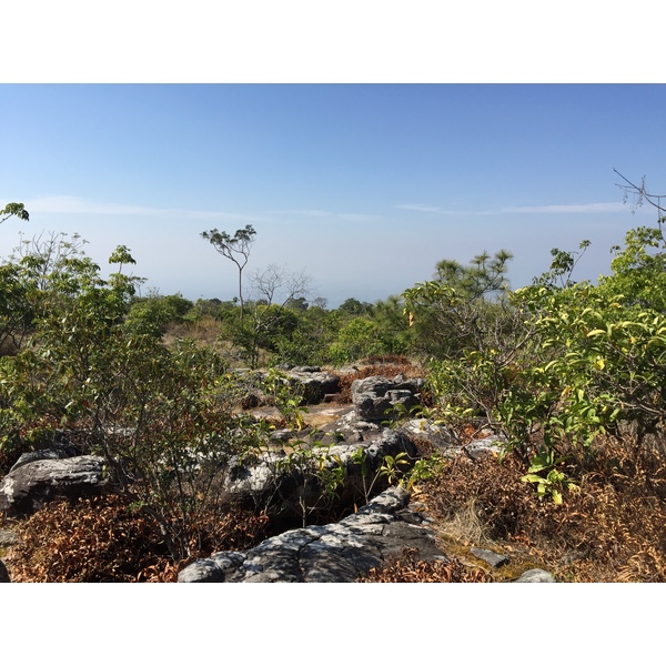 照片 泰国(Thailand) 普欣隆卡国家公园(Phu Hin Rong Kla National Park) 2014-12 302