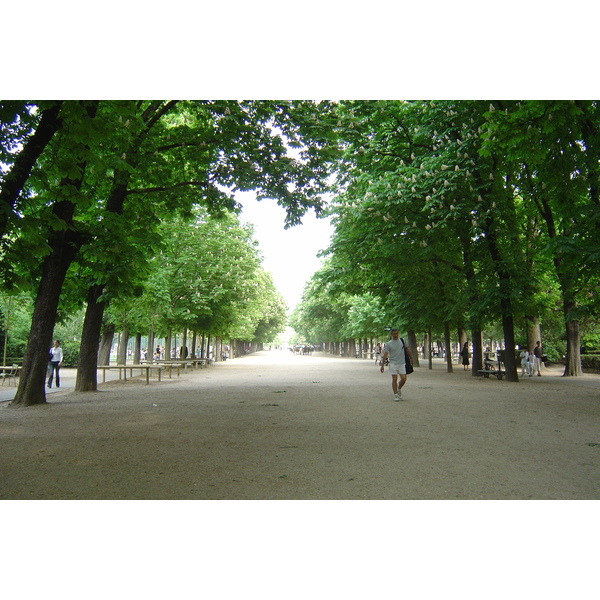 照片 法国(France) 巴黎(Paris) 卢森堡公园(Luxembourg Garden) 2007-04 13