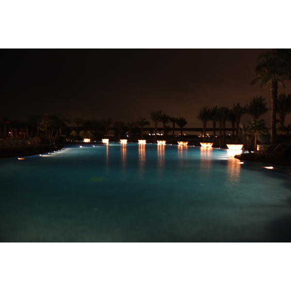照片 阿联酋(United Arab Emirates) 迪拜(Dubai) 亚特兰蒂斯酒店(Atlantis Hotel) 2014-02 245