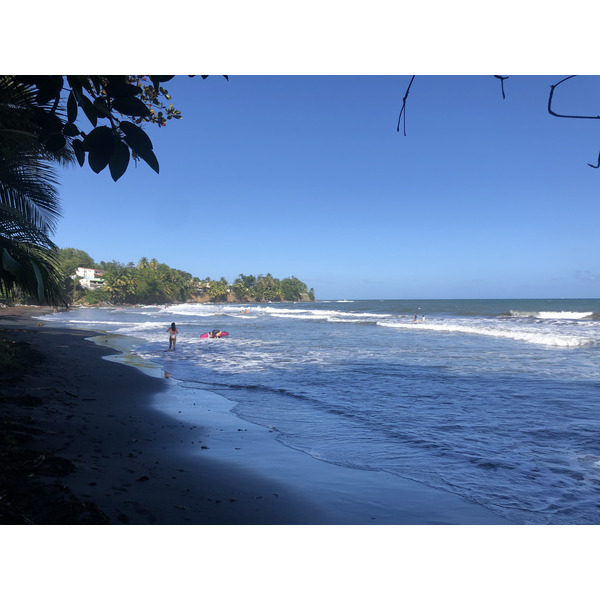 照片 瓜德罗普(Guadeloupe) 巴纳尼耶(Bananier) 2021-02 15