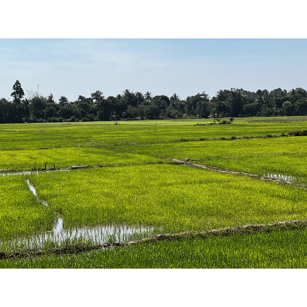 照片 柬埔寨(Cambodia) 暹粒(Siem Reap) 2023-01 131