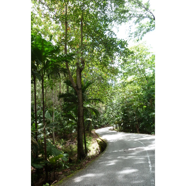 照片 塞舌尔(Seychelles) 五月谷(Vallee de Mai) 2011-10 35