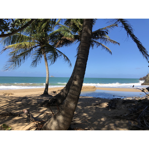 照片 瓜德罗普(Guadeloupe) 皇家堡(Fort Royal) 2021-02 20