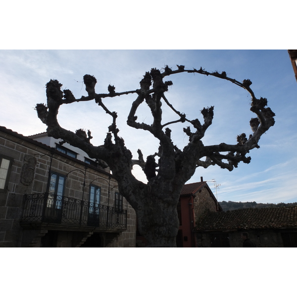 照片 西班牙(Spain) 塞拉诺瓦(Celanova) 2013-01 20
