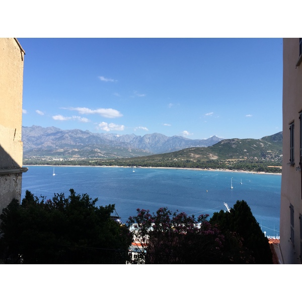 照片 法国(France) 科西嘉岛(Corsica) 卡尔维(Calvi) 2015-05 15