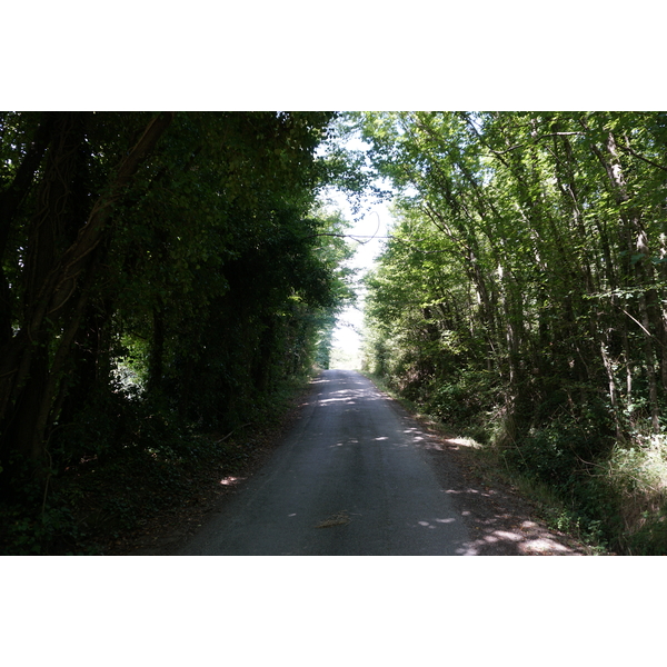 照片 法国(France) 美丽岛(Belle-Ile) 2016-08 46