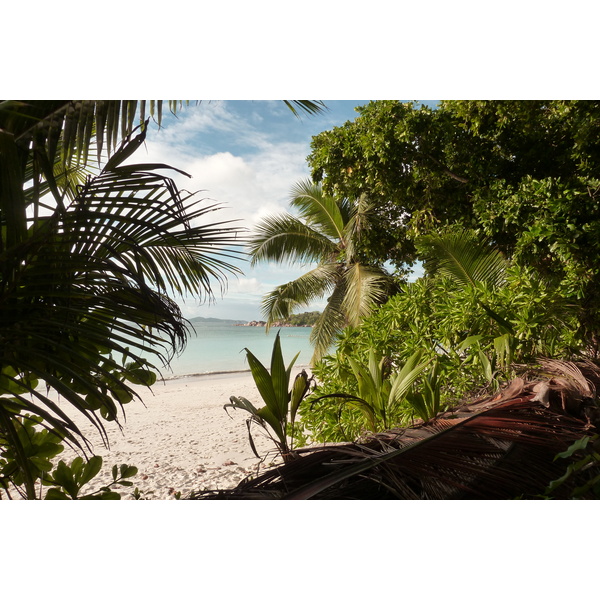 照片 塞舌尔(Seychelles) 拉齐奥湾(Anse Lazio) 2011-10 47