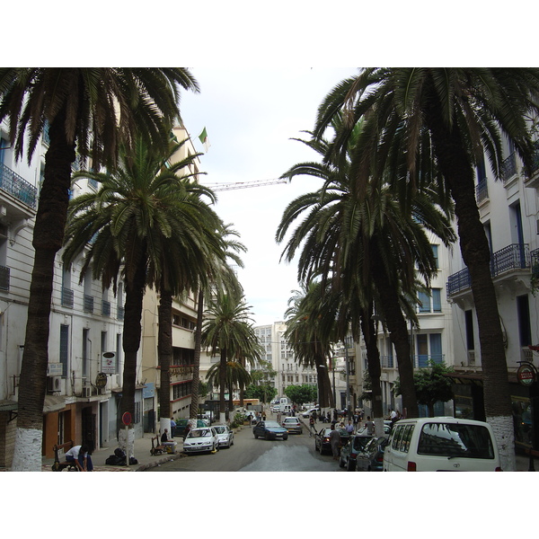 照片 阿尔及利亚(Algeria) 阿尔及尔(Algiers) 2004-09 0