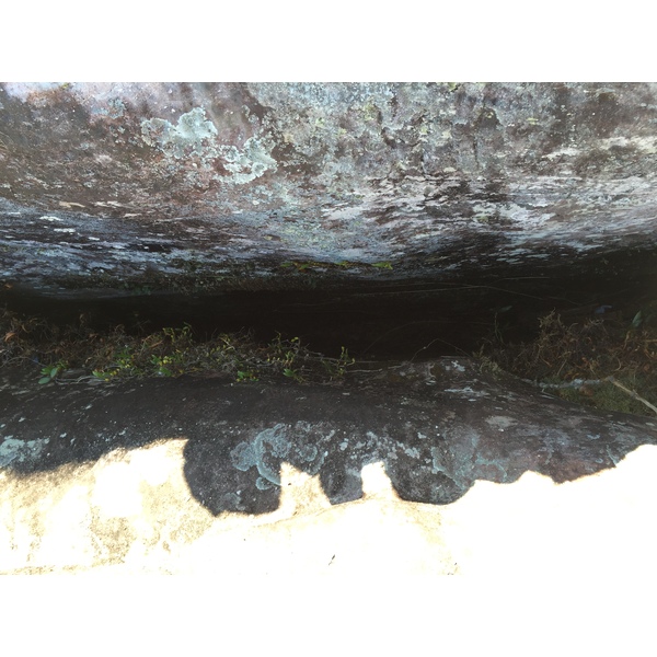 照片 泰国(Thailand) 普欣隆卡国家公园(Phu Hin Rong Kla National Park) 2014-12 404