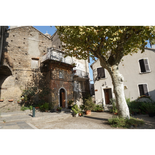 照片 法国(France) 科西嘉岛(Corsica) 韦斯科瓦托(Vescovato) 2017-09 39