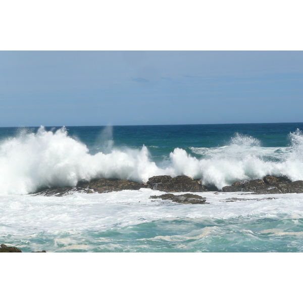照片 南非(South Africa) 齐齐卡马国家公园(Tsitsikamma National Park) 2008-09 476