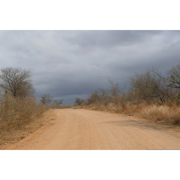 照片 南非(South Africa) 克鲁格国家公园(Kruger National Park) 鳄鱼河公路(Crocodile River road) 2008-09 59