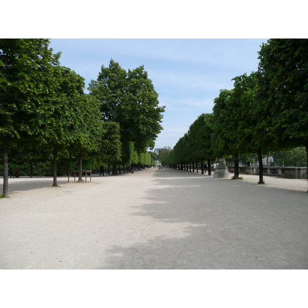 照片 法国(France) 巴黎(Paris) 杜乐丽花园(Garden of Tuileries) 2007-05 199