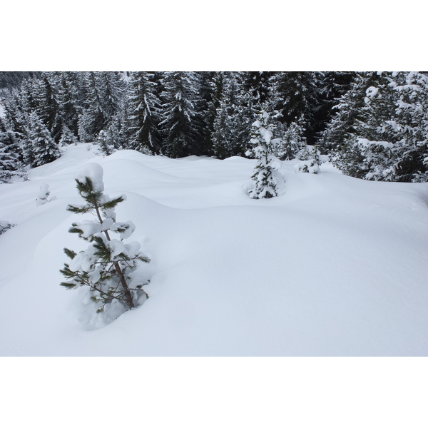 照片 法国(France) 三峡谷滑雪场(Les 3 Vallees) 2013-03 252