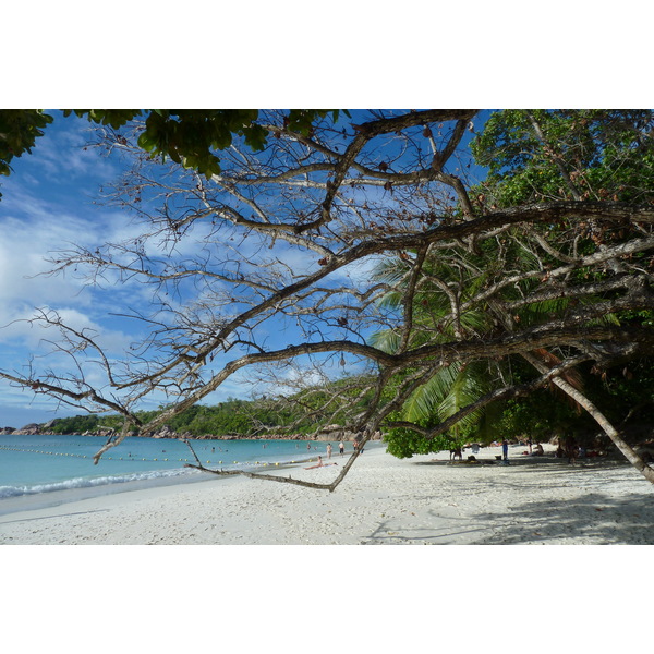 照片 塞舌尔(Seychelles) 拉齐奥湾(Anse Lazio) 2011-10 37
