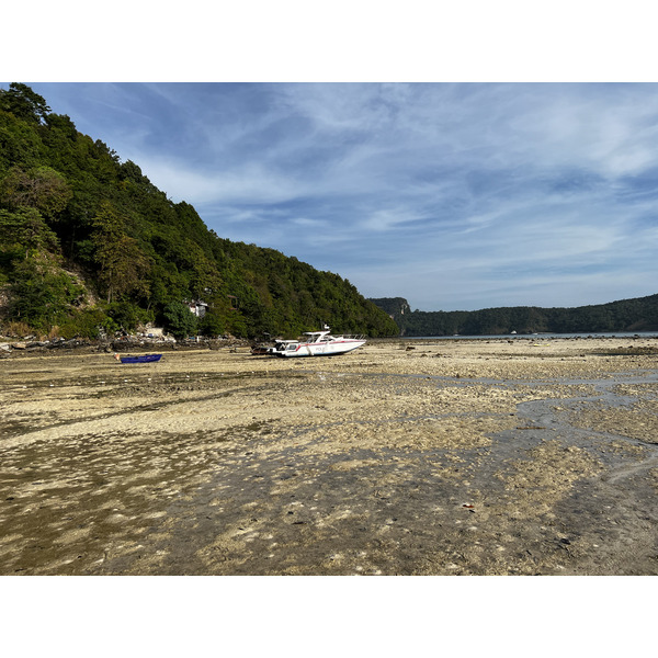 照片 泰国(Thailand) 大皮皮岛(Ko Phi Phi Don) 2021-12 135