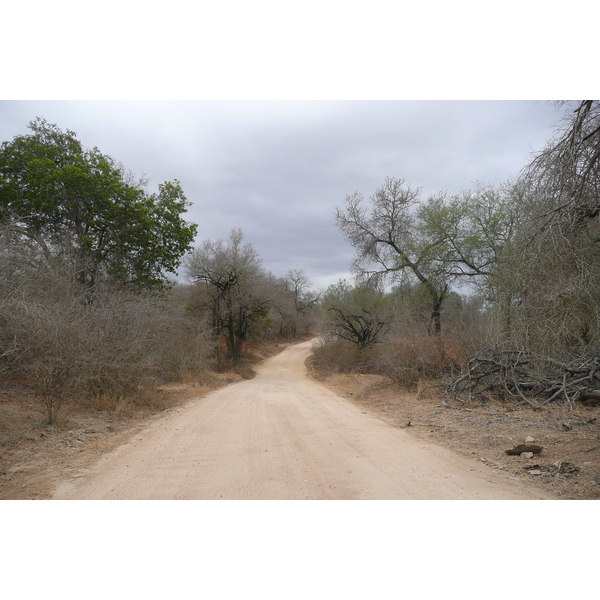 照片 南非(South Africa) 克鲁格国家公园(Kruger National Park) 萨布尔河(Sable River) 2008-09 14