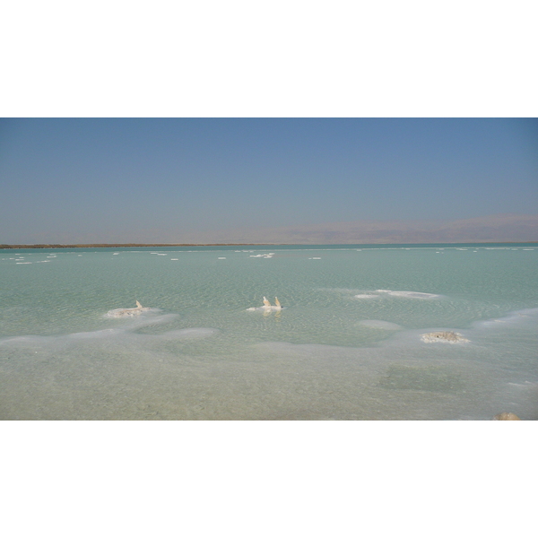 照片 以色列(Israel) 埃因博克(Boqeq) 2007-06 143