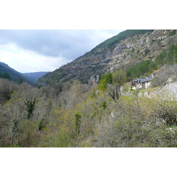 照片 法国(France) 塔恩峡谷(Gorges du Tarn) 2008-04 58