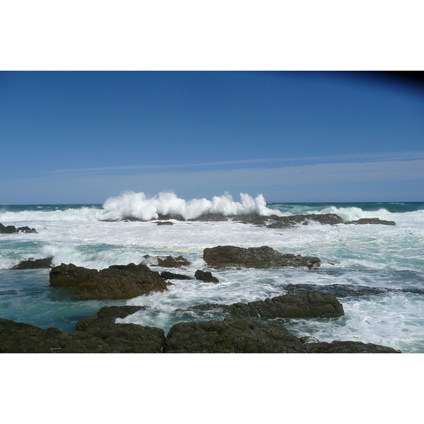 照片 南非(South Africa) 齐齐卡马国家公园(Tsitsikamma National Park) 2008-09 137