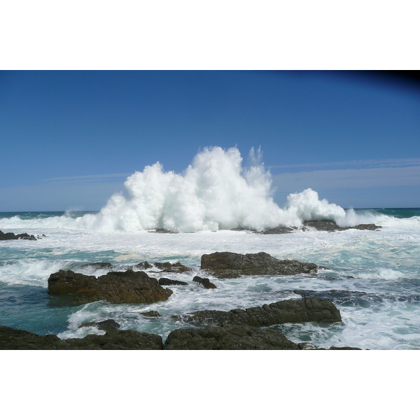 照片 南非(South Africa) 齐齐卡马国家公园(Tsitsikamma National Park) 2008-09 398