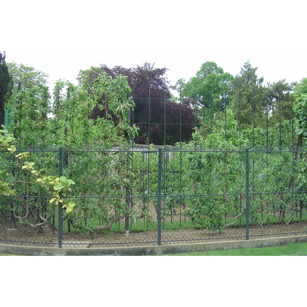 照片 法国(France) 巴黎(Paris) 卢森堡公园(Luxembourg Garden) 2007-04 3