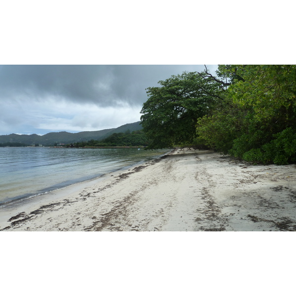 照片 塞舌尔(Seychelles) 普拉兰岛(Praslin) 2011-10 63