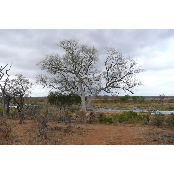 照片 南非(South Africa) 克鲁格国家公园(Kruger National Park) 鳄鱼河(Crocodile River) 2008-09 15