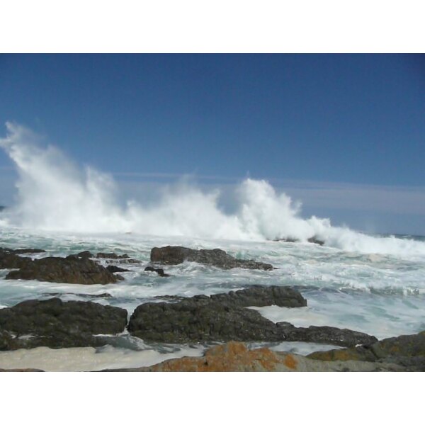 照片 南非(South Africa) 齐齐卡马国家公园(Tsitsikamma National Park) 2008-09 67